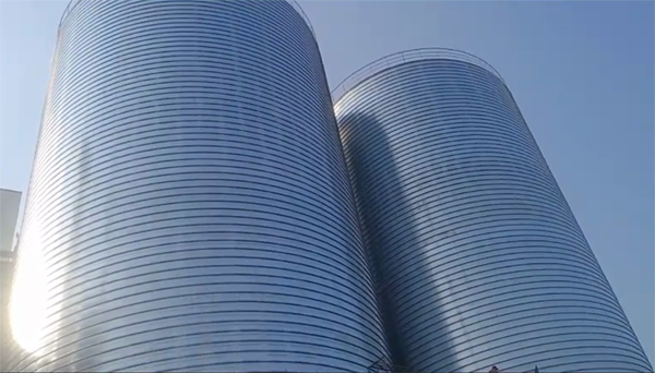 城厢2座混凝土高架卷板仓